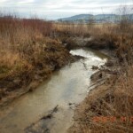 Bereich des entfernten Biberdamms